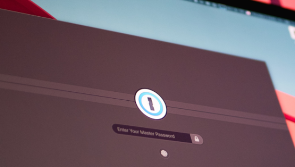 E tu di che password sei?