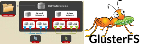 Avete mai provato a far gestire i dati alle formiche?
