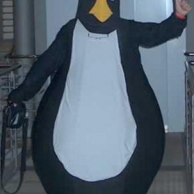 Pinguino